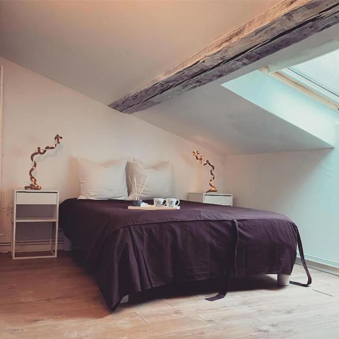 Nancy Appartement En Triplex Plein Centre Экстерьер фото